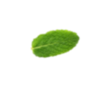 vector